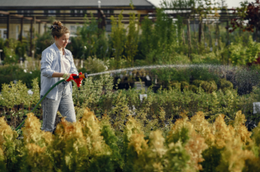 Comment faciliter l’entretien de son jardin ?